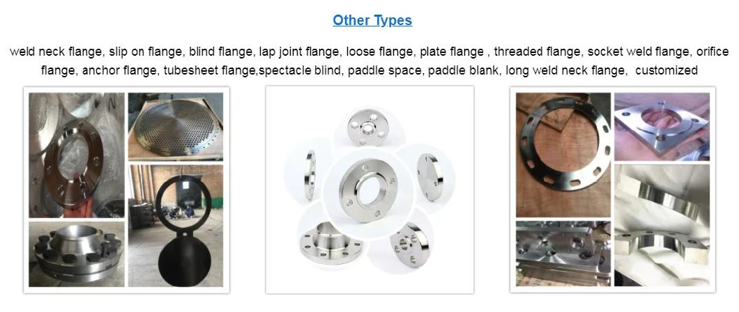 ANSI/DIN/GOST/BS En RF/FF/Rtj 150#-2500# Carbon Steel /Stainless Steel /Alloy Steel Forged Wn/So/Threaded/Plate/Socket/Blind Flange